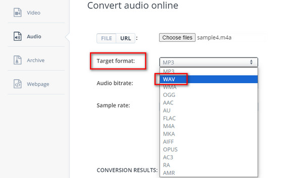 Select A Target Format