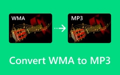 WMA to MP3