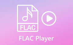 Flac Player