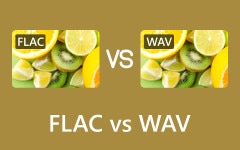 FLAC Vs Wav S