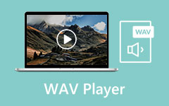 WAV Player