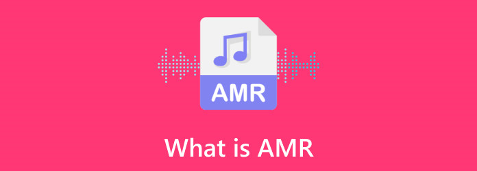 What is AMR