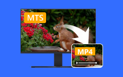 Convert MTS to MP4