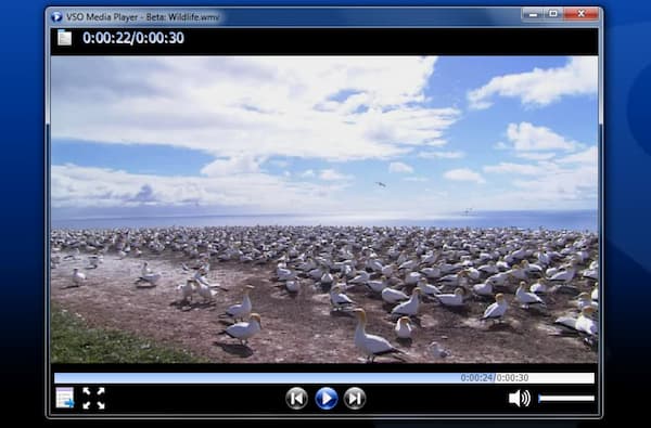 VSO Media Player