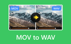 MOV to WAV