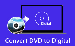 Convert DVD to Digital