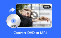 DVD to MP4