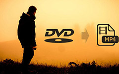 DVD to MP4 Converter