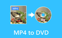 Convert MP4 to DVD