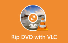 Rip DVD Movie with VLC