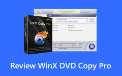 Convert SWF to MP4