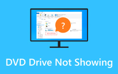 DVD Drive Not Showing