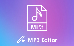 MP3 Editor