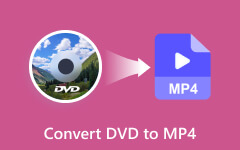 How to Convert DVD to MP4