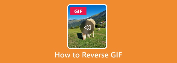 How to Reverse GIF