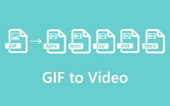 GIF to Video