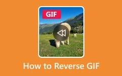 How to Reverse GIF