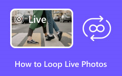 Loop Live Photos