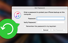 Recover Password for Locked iTunes