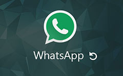 Recover WhatsApp Messages