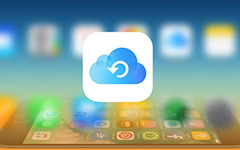 Restore from iCloud Backup