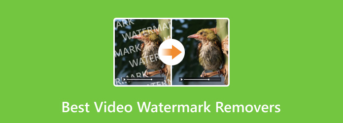 Best Video Watermark Remover