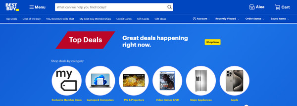 Best Buy Site