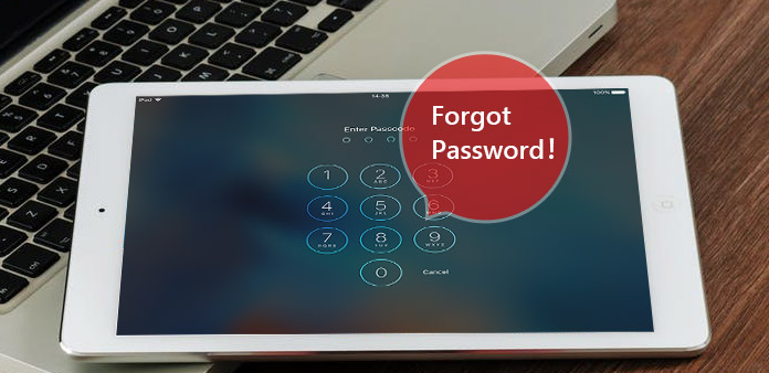 Forgot iPad Password