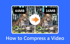 How to Compress a Video