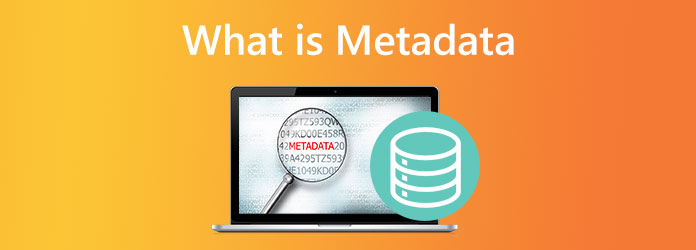 What Metadata is