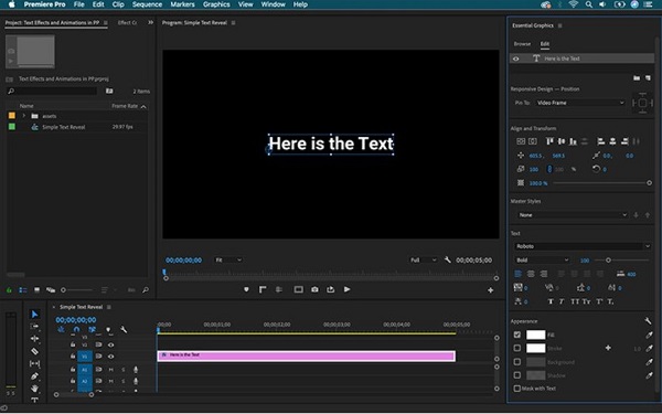 Adobe Premiere Pro