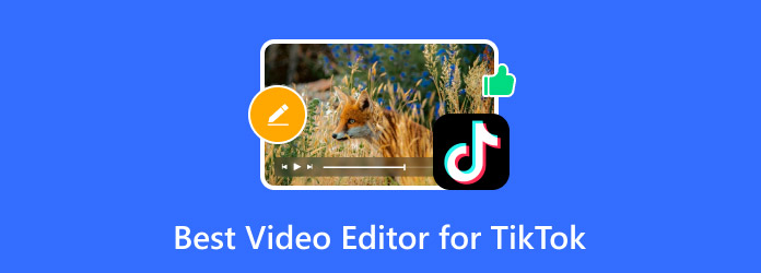 Best Video Editor for TikTok