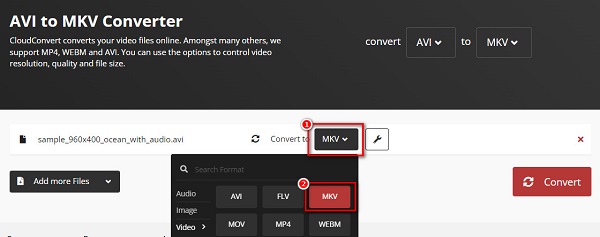 Choose Output Format