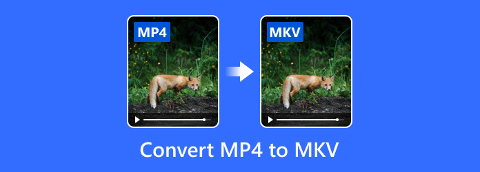 Convert MP4 to MKV