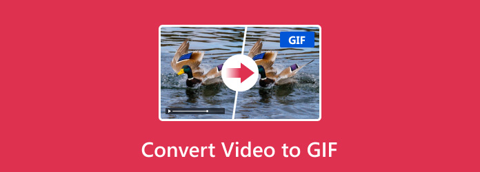 Convert Video to GIF