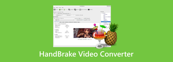 HandBrake Video Converter