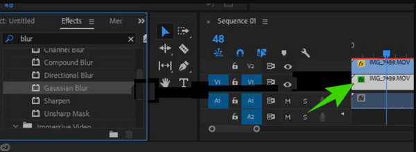 Premiere Aspect Ratio Layer