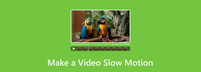 How to Make a Video Slow Motion