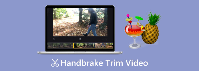 How to Use HandBrake Trim Video