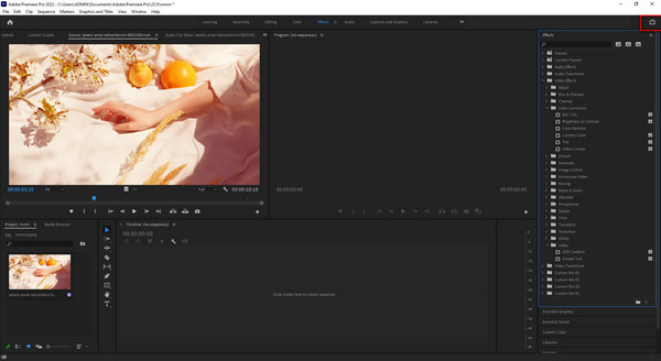 Premiere Pro Export Video