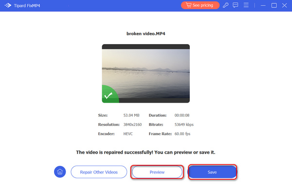 Preview And Save FixMP4