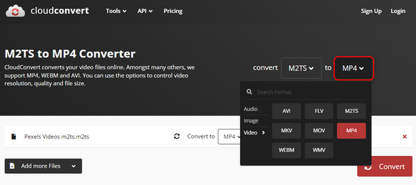 Cloudconvert Output Format