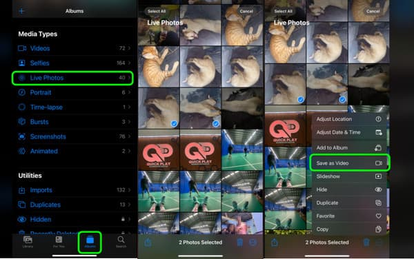 Make Multiple Live Photo A Video