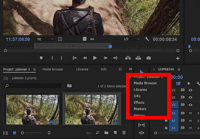 Premiere Pro Effects