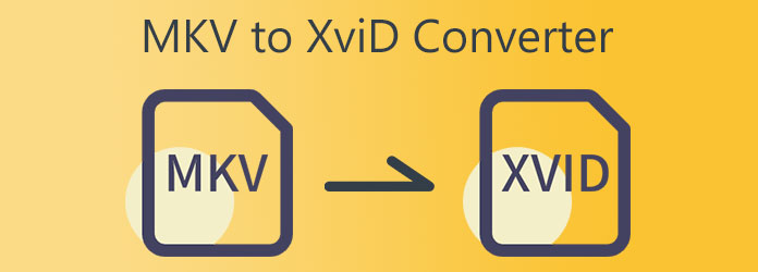 MKV to XVID Converter