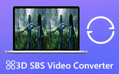 3D SBS Converter