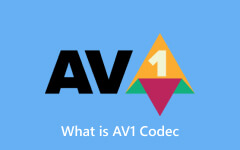 AV1 Codec