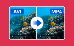 AVI to MP4 Converter