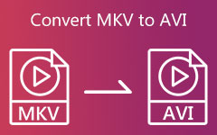 Convert MKV to AVI