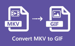 Convert MKV to GIF